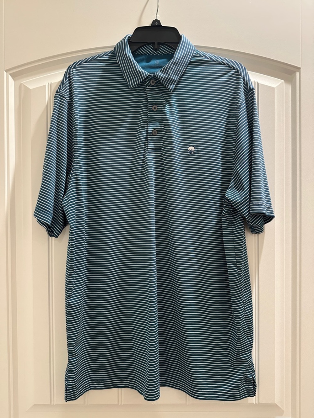 Striped Teal and White Men's Polo Shirt